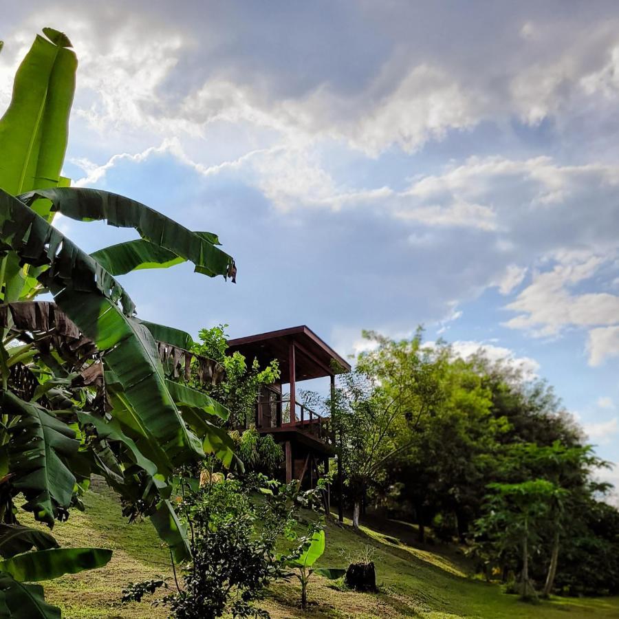 Yumas Riverfront Lodge 산 이그나시오 외부 사진