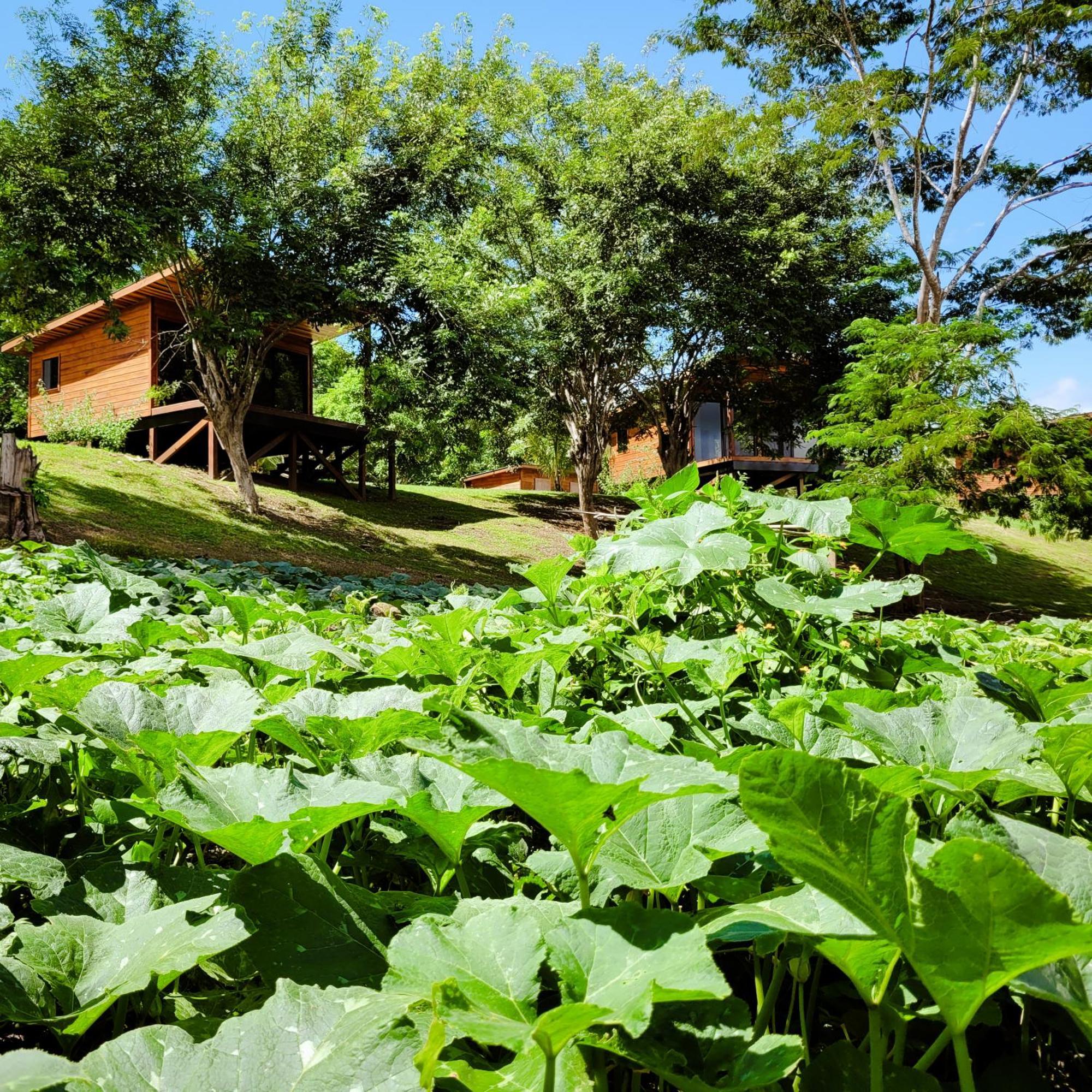 Yumas Riverfront Lodge 산 이그나시오 외부 사진